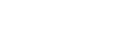 nnlogo_05-2_white