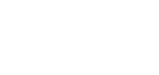 nnlogo_08-2_white